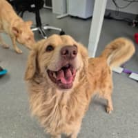 Photo of Fonzie! 💃