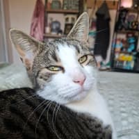 Photo of Tubby