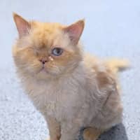Photo of Sammy