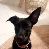 Photo of Skinny Marie (Evie)