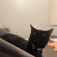 Photo of Violet And Prickle