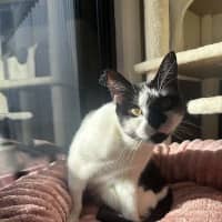 Photo of Lotti