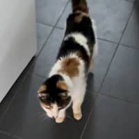 Photo of Bertie