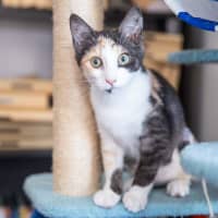Photo of Tilly