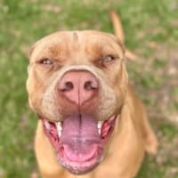 Photo of Maggie