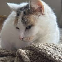 Photo of Jasmine