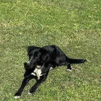 Photo of Bob 2