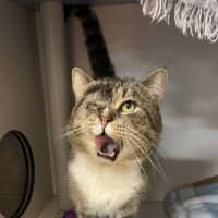 Photo of Tommy
