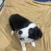 Photo of Sophie