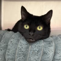 Photo of Kiki