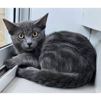 Photo of 12192   Mario