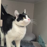 Photo of Gadget (0196)