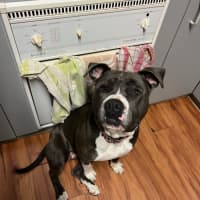 Photo of Mahlee