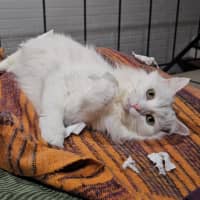 Photo of Olivia