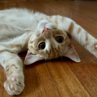 Photo of Fred & George