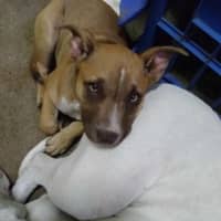 Photo of Hope