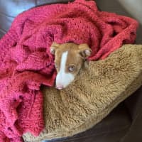 Photo of Brian Mannix