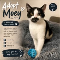 Photo of Moey 