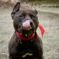 Photo of Azzie