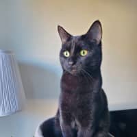 Photo of Milo   Malvern 