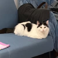 Photo of Wanda
