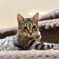 Photo of Martin   In Foster Care In Templestowe 