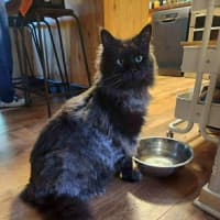 Photo of Ghetto & Gucci