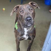 Photo of Starsky (Now Called Narloo)