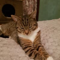 Photo of Luna