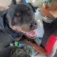 Photo of Chunka