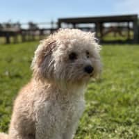 Photo of Ted