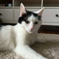 Photo of Genie