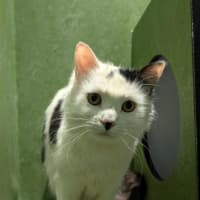 Photo of Larry