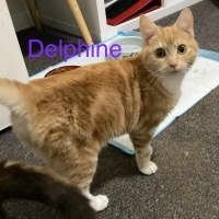 Photo of Delphine