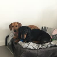 Photo of Benji And Saide