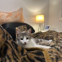 Photo of Lil Sabrina