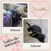 Photo of Julianne