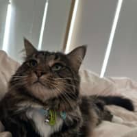 Photo of 🏴‍☠️ Pirate & Pearl 🏴‍☠️