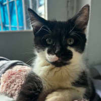 Photo of Mash
