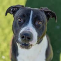 Photo of Michael Imp 205