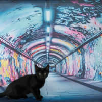 Photo of The Riddler