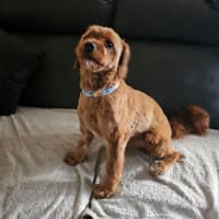 Photo of Neddy Everhart