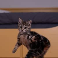 Photo of Lunchlady Doris