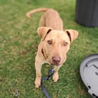 Photo of Ransom