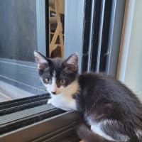 Photo of Winter  Available From 20/1