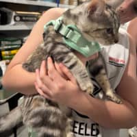 Photo of Maxi Meet Me@Petstock Keysborough Store