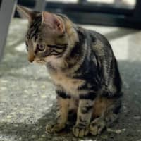 Photo of Pj