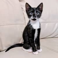 Photo of Samantha