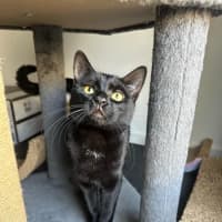 Photo of Giorgio 💙