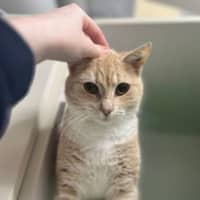 Photo of Nova